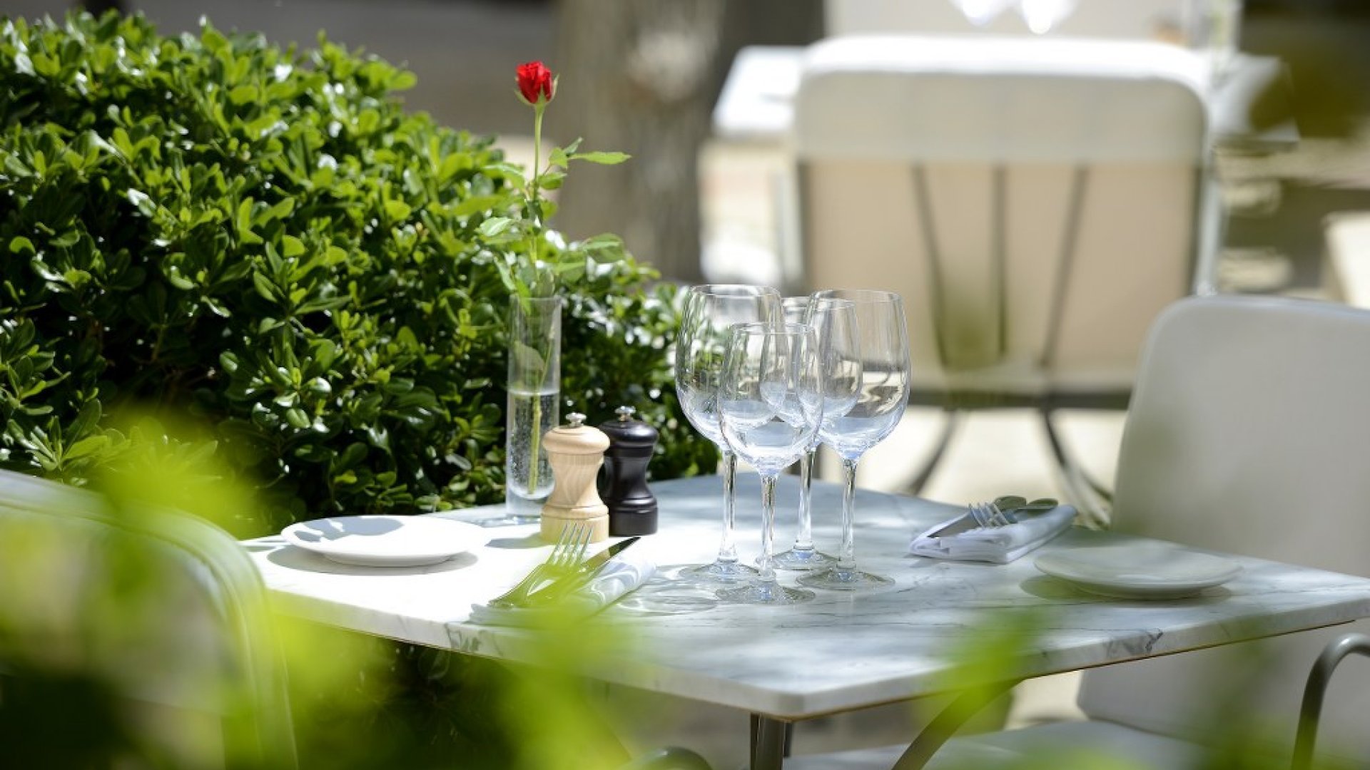 Menu de Saison « Dégustation »  - Hors Boissons